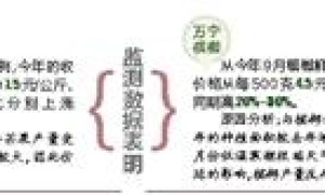 前三季度重要商品價格顯示 萬寧檳榔昌江芒果價格上漲